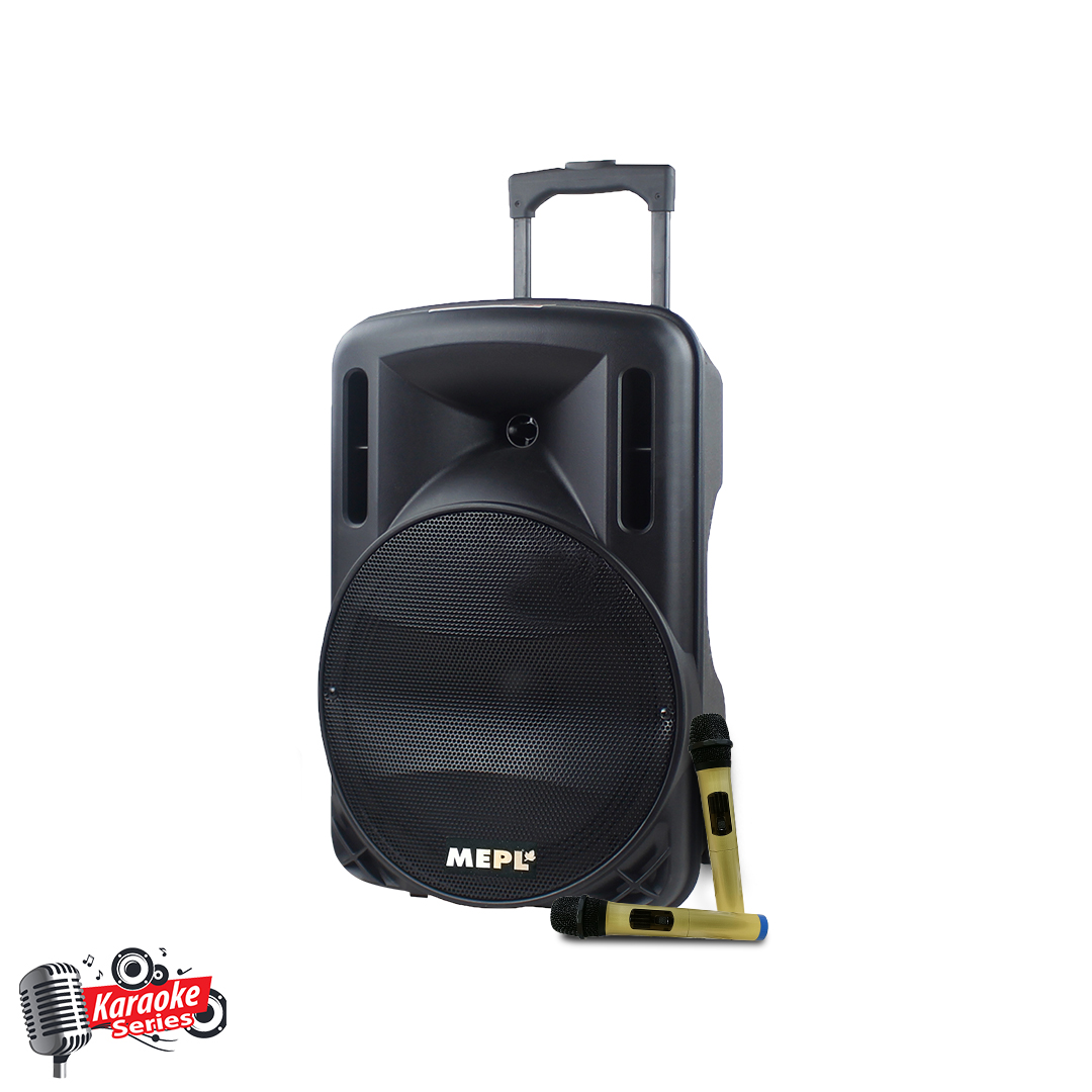 MEPL Portable Karaoke Speaker STK 12 MW